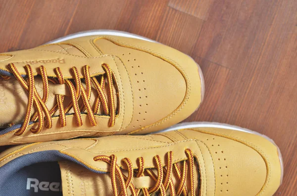 Kiev, Ukrayna - 30 Mayıs 2018: Reebok iki kahverengi spor ayakkabı yan yana, yukarıdan bir fotoğraf standı