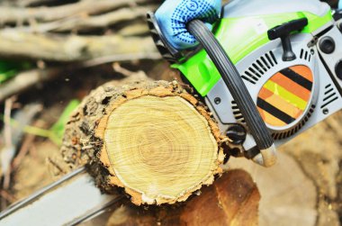 Çerçevede, sarı bir güverte ve elektrikli testere, eldiven bir adam elinde bir kesim