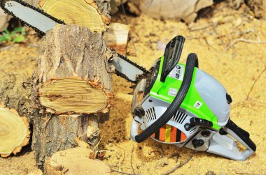 Testere günlükleri iki parça arasında yer alır.