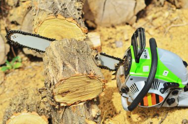 Anahtarlı kapalı chainsaw yalan günlükleri iki adet arasında