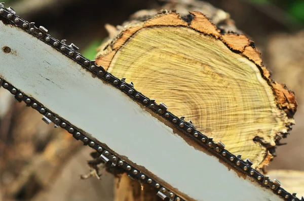 Chainsaw Background Cutting Log — Stock Photo, Image