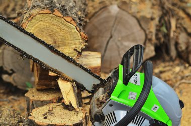 Büyük ahşap yapı iskelesi arasında Chainsaw