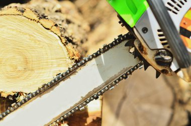 Testere testere ahşap güneş ışığı altında yakın çekim fotoğraf