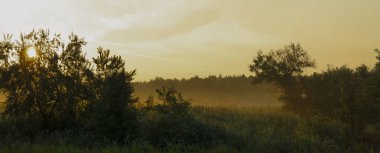 Ormanda gün batımı. Güzel yaz gündoğumu panoraması