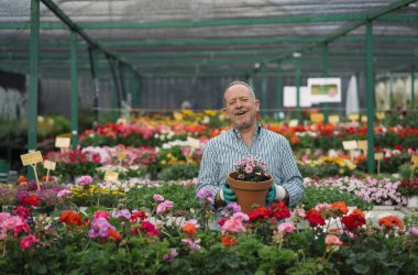 Komuta sizde bitkiler dikim.