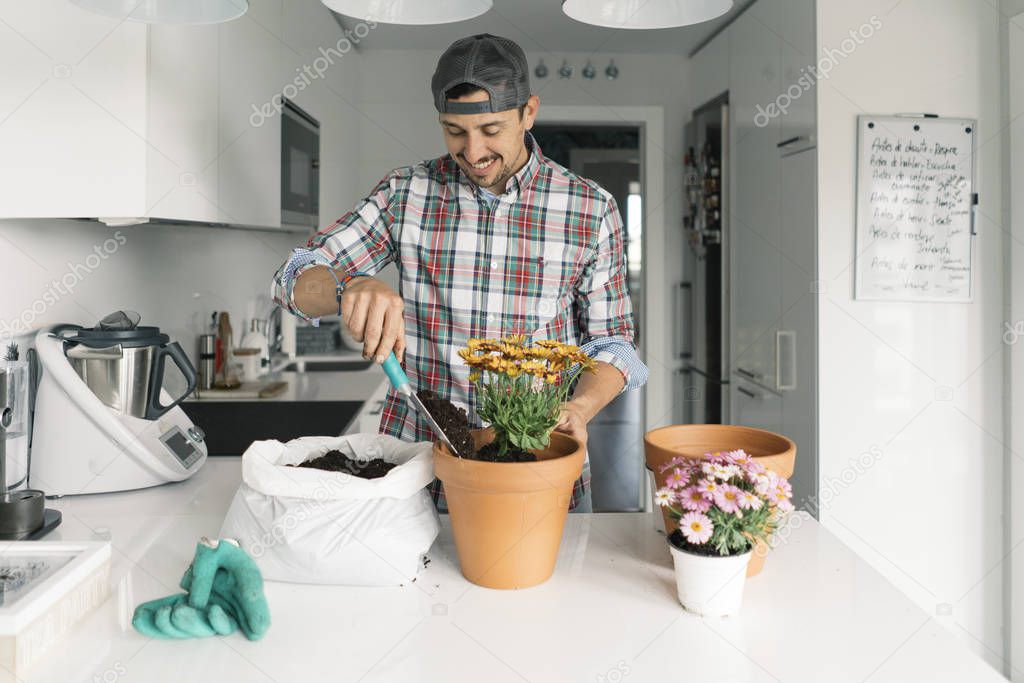 Young man transplanting plants.