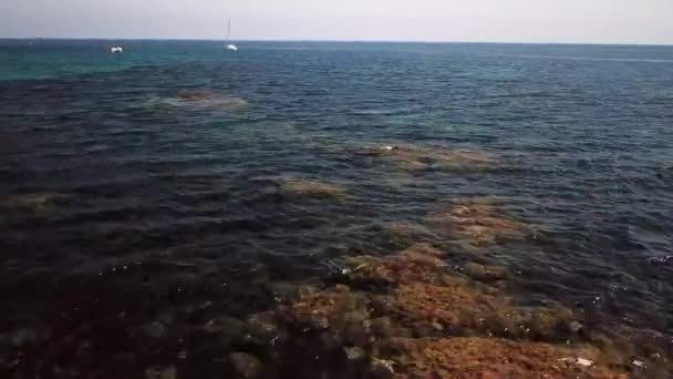 Widok Lotu Ptaka Plaża Przechwycone Przez Drone — Wideo stockowe