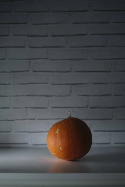 Halloween Pumpkin White Table Wall Background — Stock Photo, Image