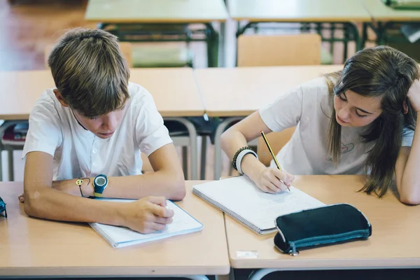 Δυο Νέοι Φοιτητές Σπουδάζουν Στο Σχολείο — Φωτογραφία Αρχείου