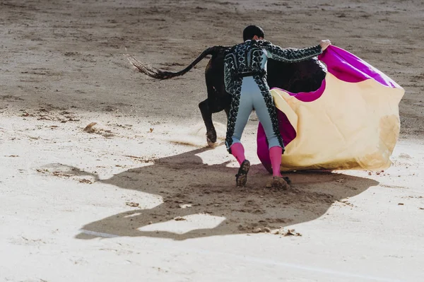 スペインの闘牛 激怒の雄牛闘牛士を攻撃します — ストック写真