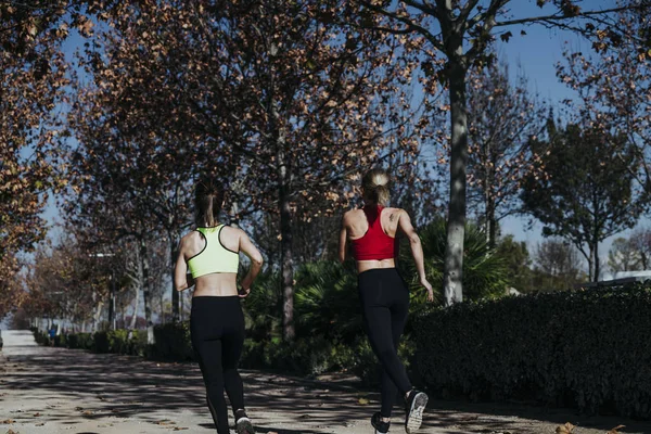 Duas Mulheres Felizes Treinando Parque — Fotografia de Stock