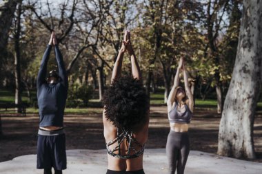 Pratik yoga parkta kişilik grup