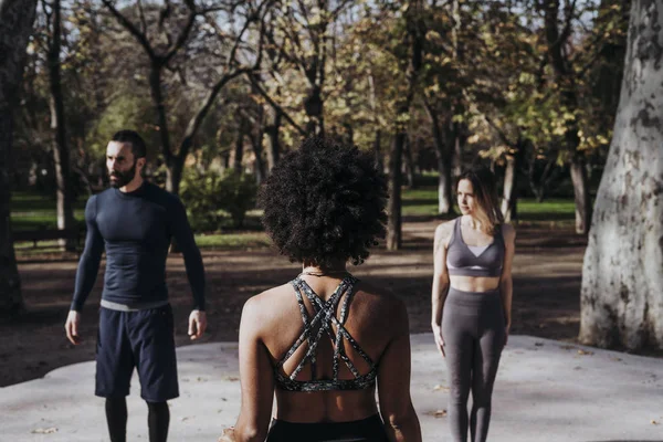 Grupo Pessoas Que Praticam Ioga Parque — Fotografia de Stock