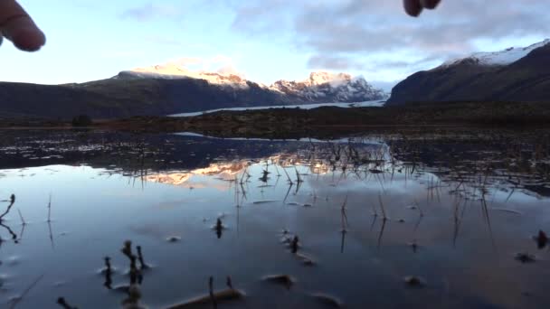 Crop Man Mains Rafraîchissantes Dans Eau Froide — Video