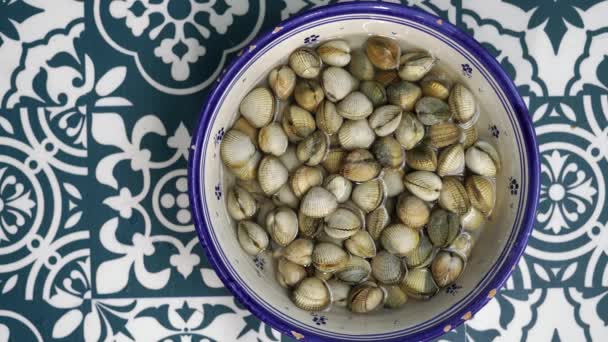 Cockles Rodeados Fondo Azul Blanco — Vídeo de stock