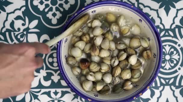 Cockles Rodeados Fondo Azul Blanco — Vídeo de stock