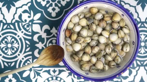 Cockles Rodeados Fondo Azul Blanco — Vídeos de Stock