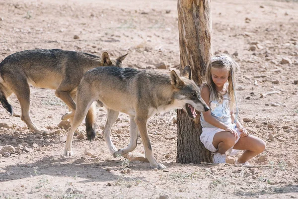 Petite Fille Blonde Avec Loup Zoo — Photo