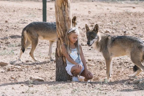 Petite Fille Blonde Avec Loup Zoo — Photo