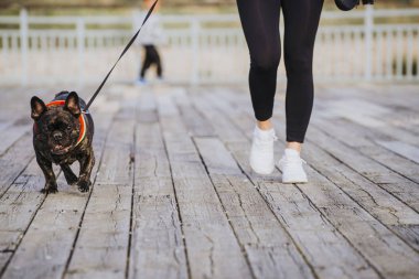 Fransız buldozer parkta bir sonbahar yürüyüş