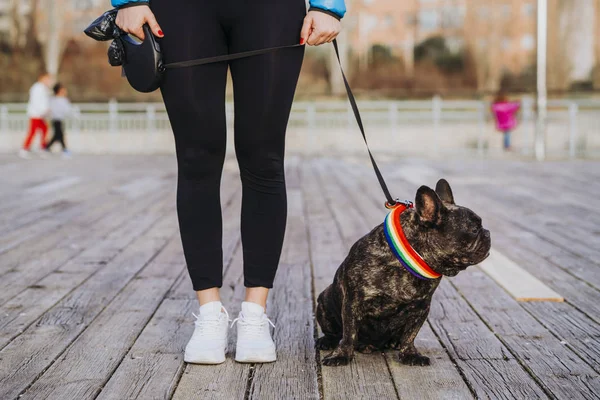 Bulldog Francese Una Passeggiata Autunnale Nel Parco — Foto Stock