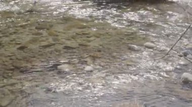 Manzanares Nehri - La Pedriza