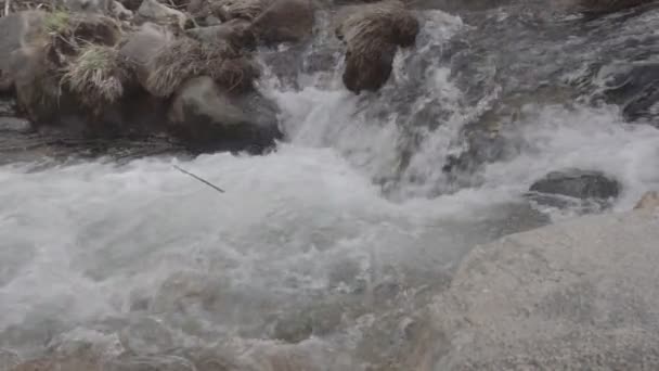 Río Manzanares Pedriza — Vídeos de Stock