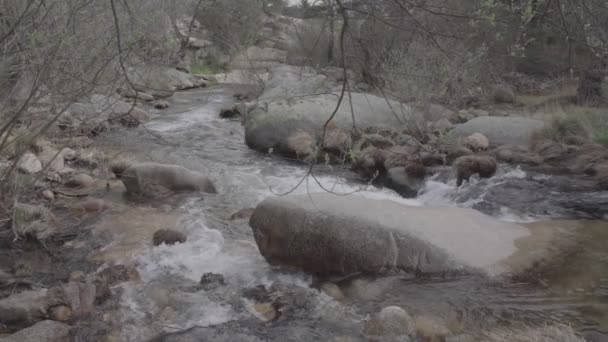 Der Fluss Manzanares Pedriza — Stockvideo