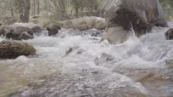 Der Fluss Manzanares Pedriza — Stockvideo