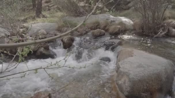 Der Fluss Manzanares Pedriza — Stockvideo