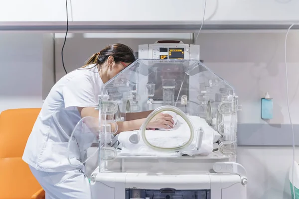 Doctora examinando bebé recién nacido en incubadora — Foto de Stock