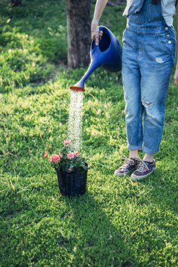 Bir sulama olabilir bir çiçek yatakta çiçek sulama. CONCEP