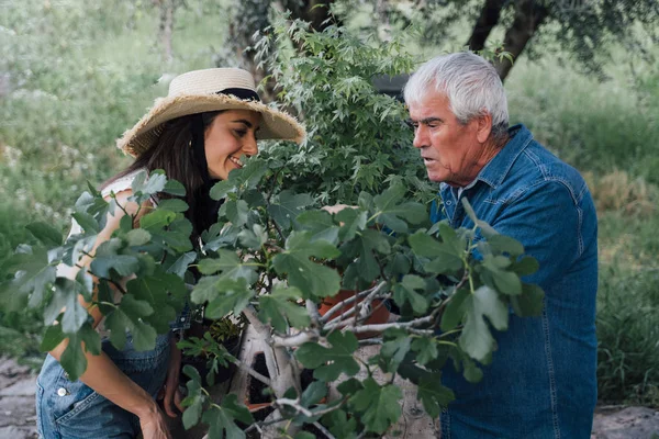 Feliz hombre mayor y mujer joven cuidando la planta de bonsái — Foto de Stock