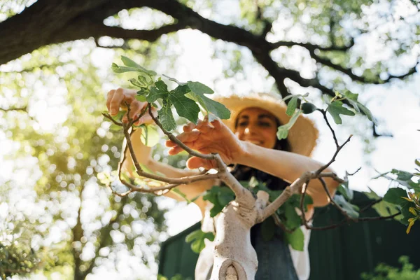 Woman who works with the bonsai — Stock Photo, Image