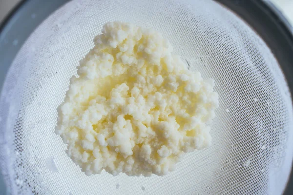Close up of kefir grains being strained. — Stock Photo, Image