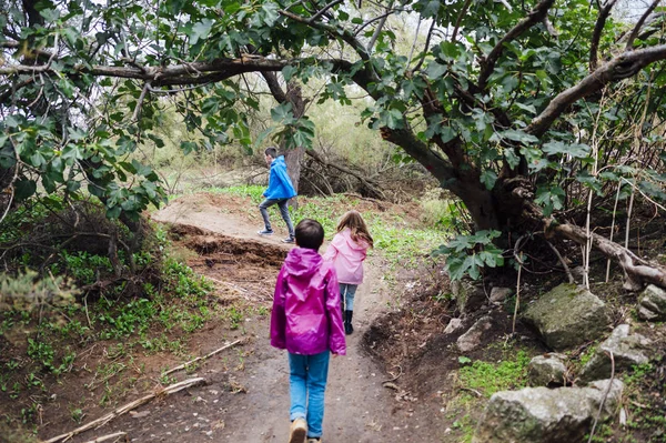 Ομάδα τριών παιδιών που περπατούν στο δάσος — Φωτογραφία Αρχείου