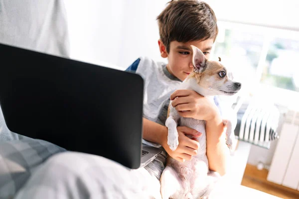 11 year old boy with laptop and dog at home