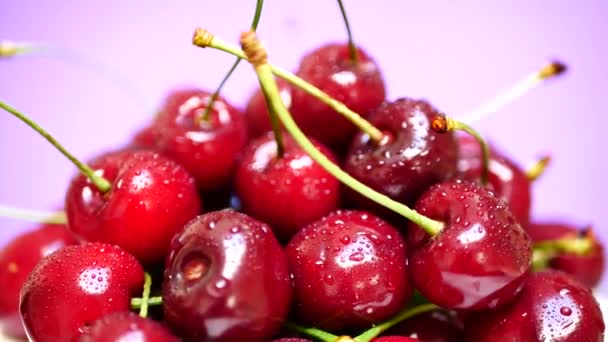 Сочная темно-красная вишня с капельками воды — стоковое видео
