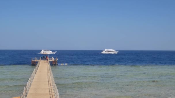 Barco blanco yate navega en aguas azules del mar o el océano — Vídeos de Stock