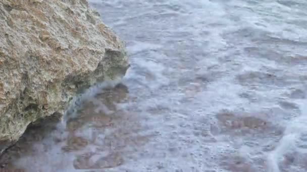 Sjøvann eller hav på strand med forsteinet korallstein og stein – stockvideo