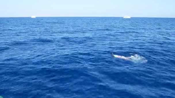 La mujer está nadando en el agua azul del mar — Vídeos de Stock