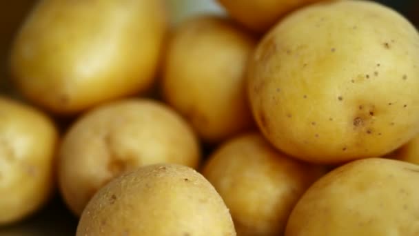 Свежий молодой желтый картофель — стоковое видео