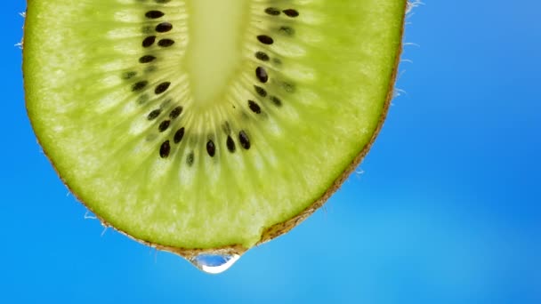 Une goutte d'eau pure ou de jus coulant d'une tranche de kiwi — Video