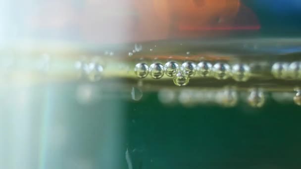 Bubbels binnen een glas champagne — Stockvideo