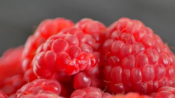 Fresh and sweet raspberries — Stock Video