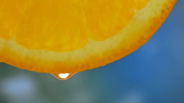 Una gota de agua pura o jugo goteando de una rebanada de naranja — Vídeos de Stock