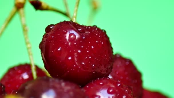 Rijpe sappige donker rode kersen met druppels Water — Stockvideo