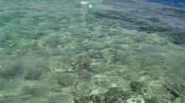 Rurquoise su yüzeyine deniz ya da okyanus