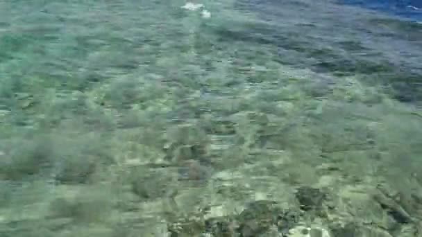 Риб'яча поверхня води на морі або океані — стокове відео