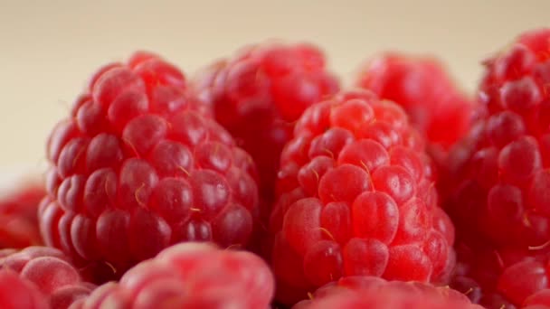 Framboesas frescas e doces — Vídeo de Stock